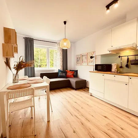 شقة Rodzinne Wzgorze Debina Rowy By Manage Rent 350 Metrow Od Plazy